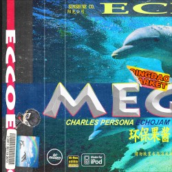Echojam