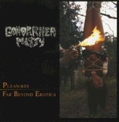 Pleasures Far Beyond Erotica / Twisted Treatement Of Periodic Prostitutes
