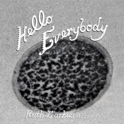 Hello Everybody