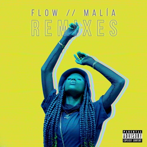 FLOW (Remixes)