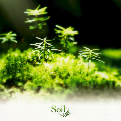 Rewrite Arrange Album 'Soil'