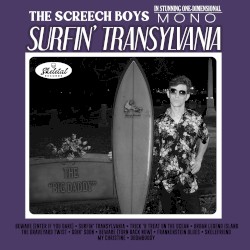 Surfin’ Transylvania
