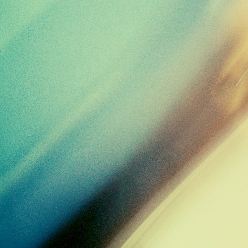 Into the Night