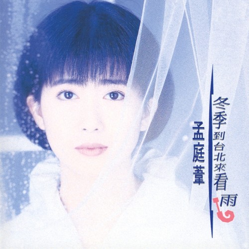 冬季到台北來看雨