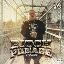 Bitch Please (Remix)