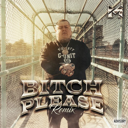 Bitch Please (Remix)