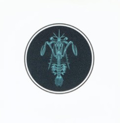 [untitled]