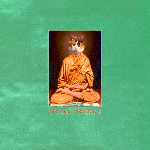 COSMICOOKS vol. 1