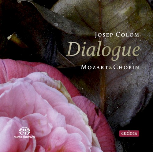 Dialogue