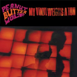 My Vinyl Weighs a Ton