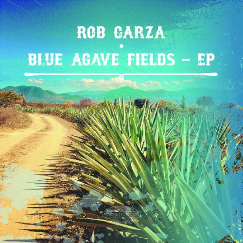 Blue Agave Fields