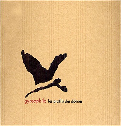 Les profils des dômes