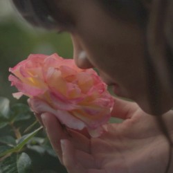 Little Things Begin Again - One Direction/Taylor Swift Mashup
