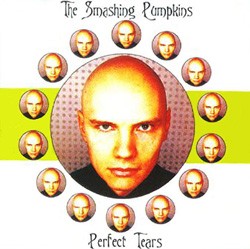 1998-01-06: Perfect Tears: Pinkpop Festival, Landgraaf, Netherlands