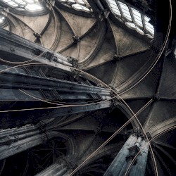 Stasis