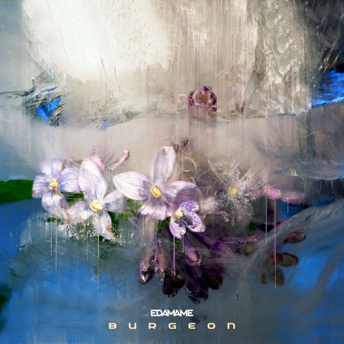 Burgeon