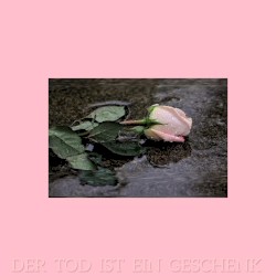 Der Tod ist ein Geschenk