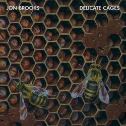 Delicate Cages