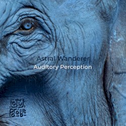 Auditory Perception