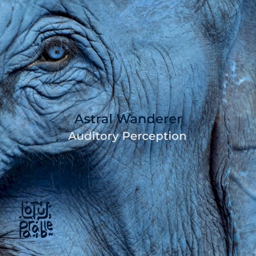 Auditory Perception