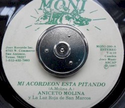 Mi acordeón está pitando / Rosy