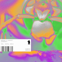 Fragments