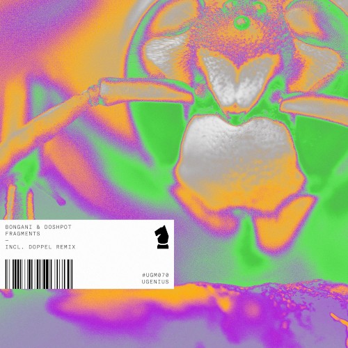 Fragments