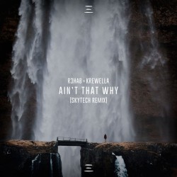 Ain't That Why (Skytech remix)