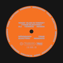 What Else Is There? (True Electric) (DJ Tennis remix)