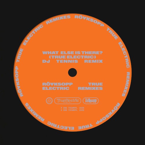 What Else Is There? (True Electric) (DJ Tennis remix)