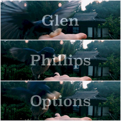 Options