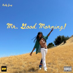 MR. GOOD MORNING!