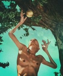 Forbidden Fruit
