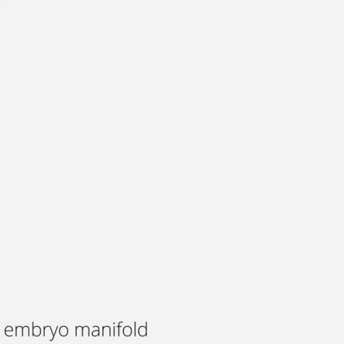 embryo manifold