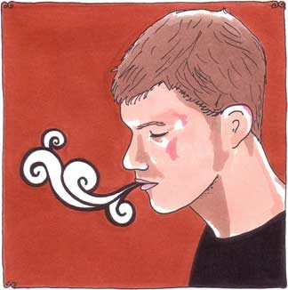 Daytrotter Session