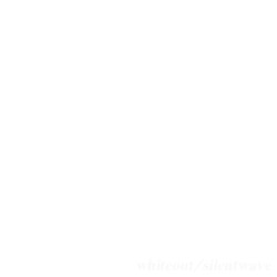 whiteout