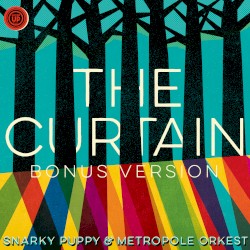 The Curtain (live from Dordrecht, Het Energiehuis / 2014 (bonus version))