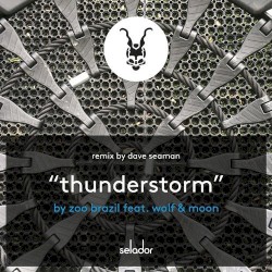 Thunderstorm