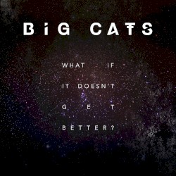 What If It Doesn't Get Better?