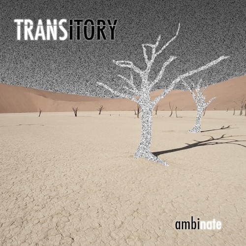Transitory