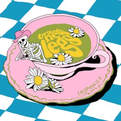 chamomile