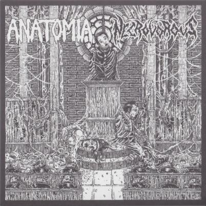 Anatomia / Necrovorous
