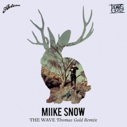 The Wave (Thomas Gold Remix)