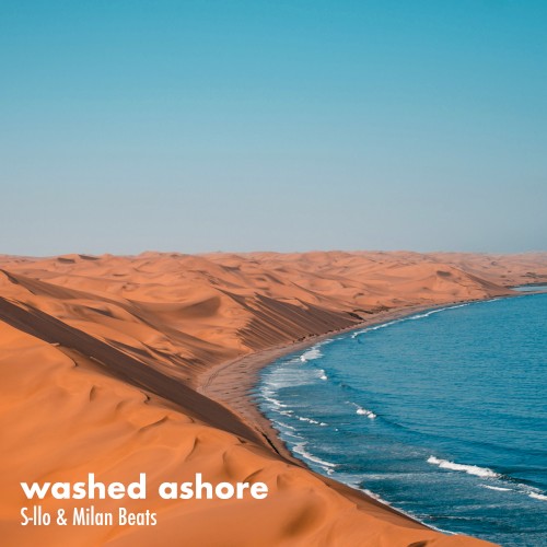 washed ashore