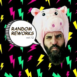 Random Reworks, Vol. 12