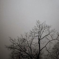 umbral