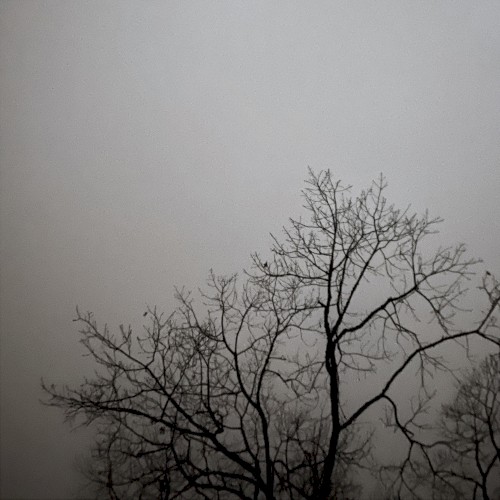umbral