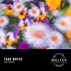 WELTER238