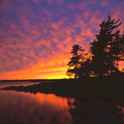 Dawn