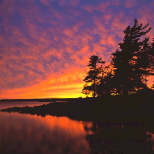 Dawn